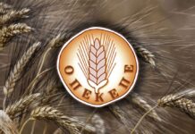 Φοροδιαφυγή σε Κέντρο Υποδοχής Δηλώσεων στην Ξάνθη εντόπισε η ΑΑΔΕ